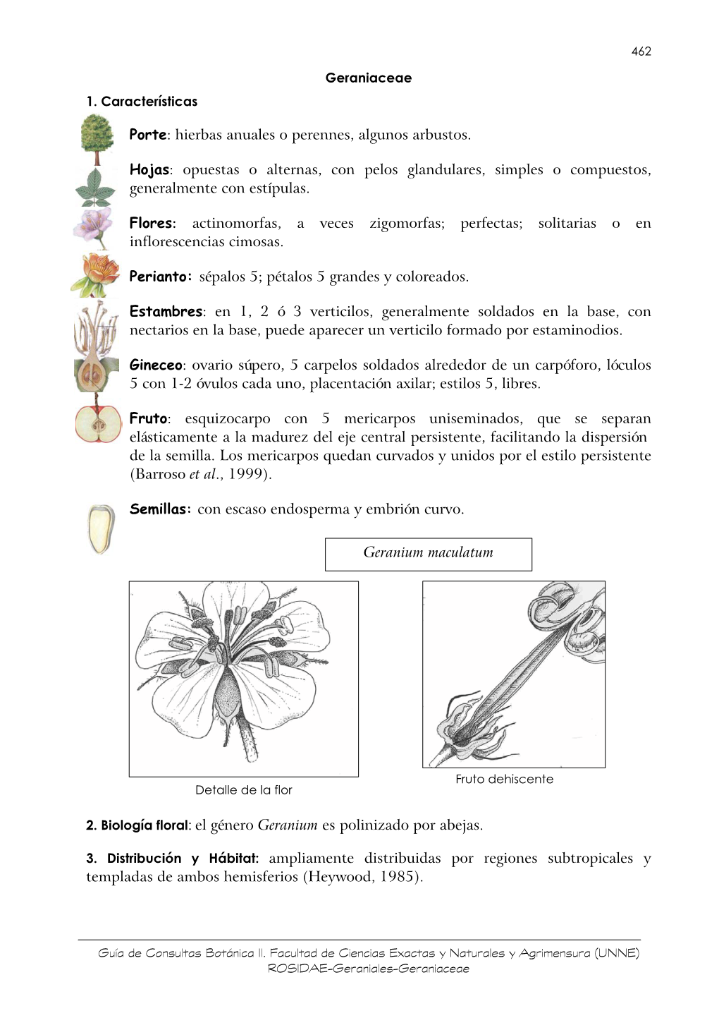 Geraniaceae 1. Características