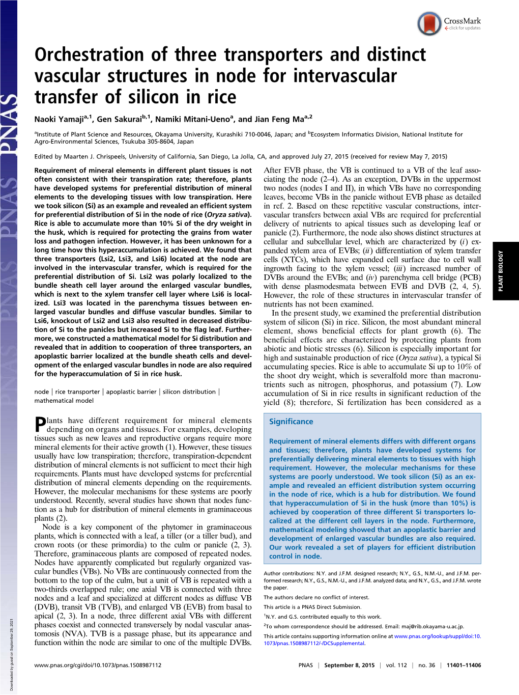 Orchestration of Three Transporters and Distinct Vascular Structures in Node for Intervascular Transfer of Silicon in Rice