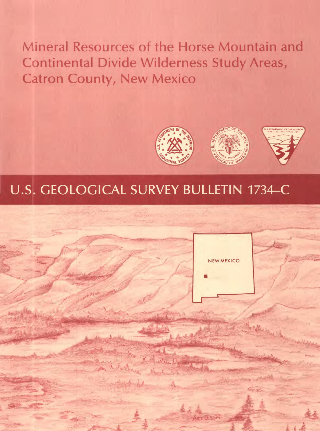 Mineral Resources of the Horse Mountain and Continental Divide Wilderness Study Areas, Catron County, New Mexico