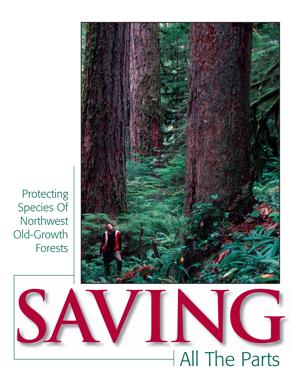 Saving All the Parts: Protecting Northwest Old-Growth Forests
