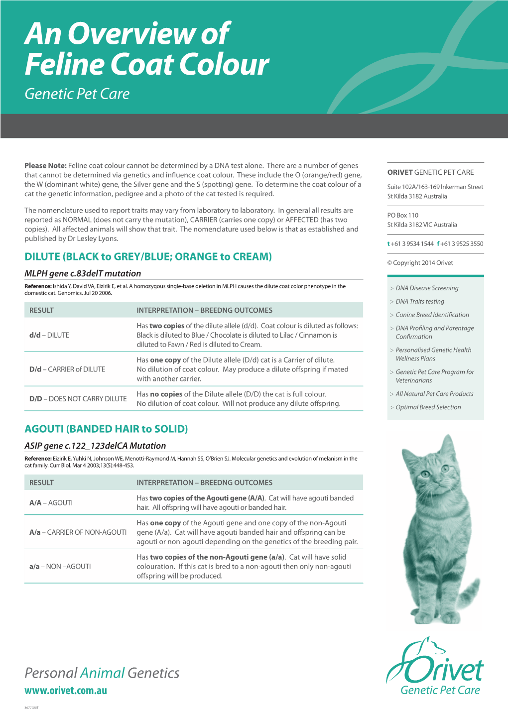 An Overview of Feline Coat Colour Genetic Pet Care