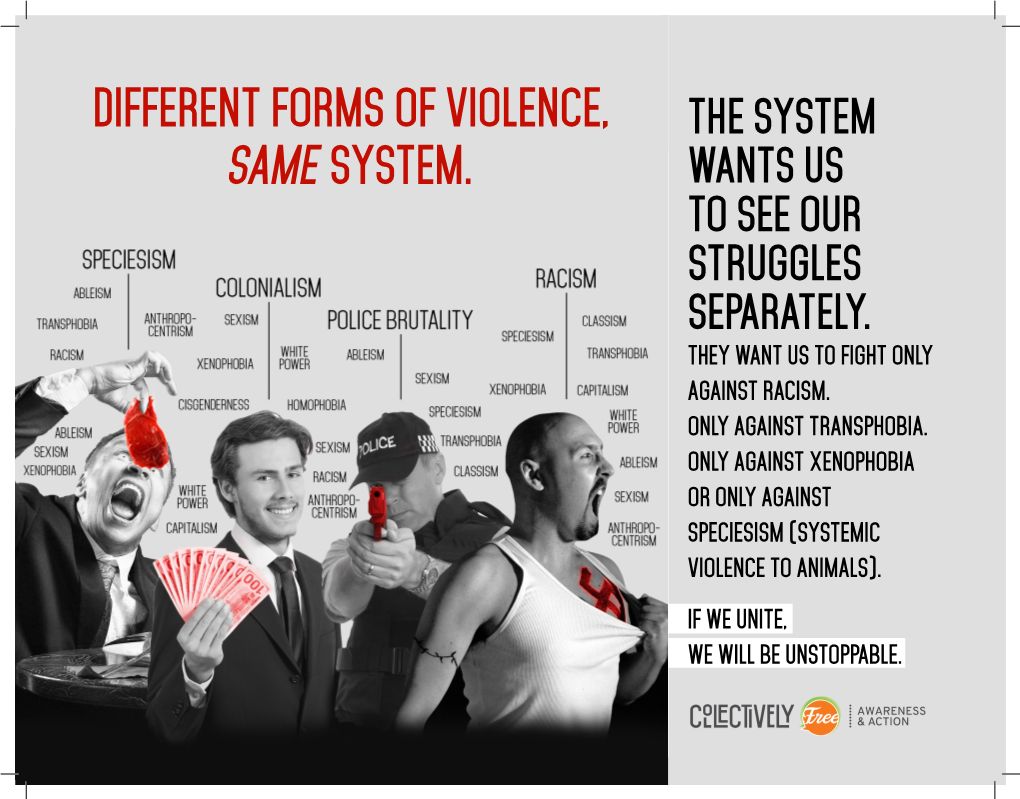 Different Forms of Violence, Same System
