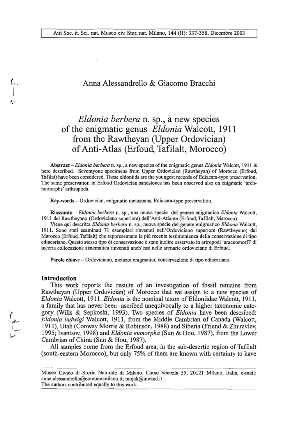 Eldonia Berbera N. Sp., a New Species of the Enigmatic Genus Eldonia Walcott, 1911 from the Rawtheyan (Upper Ordovician) of Anti-Atlas (Erfoud, Tafilalt, Morocco)