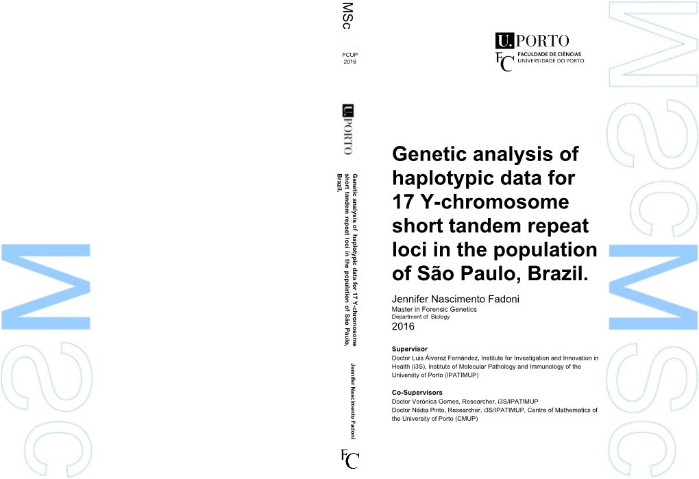 Genetic Analysis of Haplotypic Data for 17 Y-Chromosome Short Tandem Repeat Loci in the Population of São Paulo, Brazil