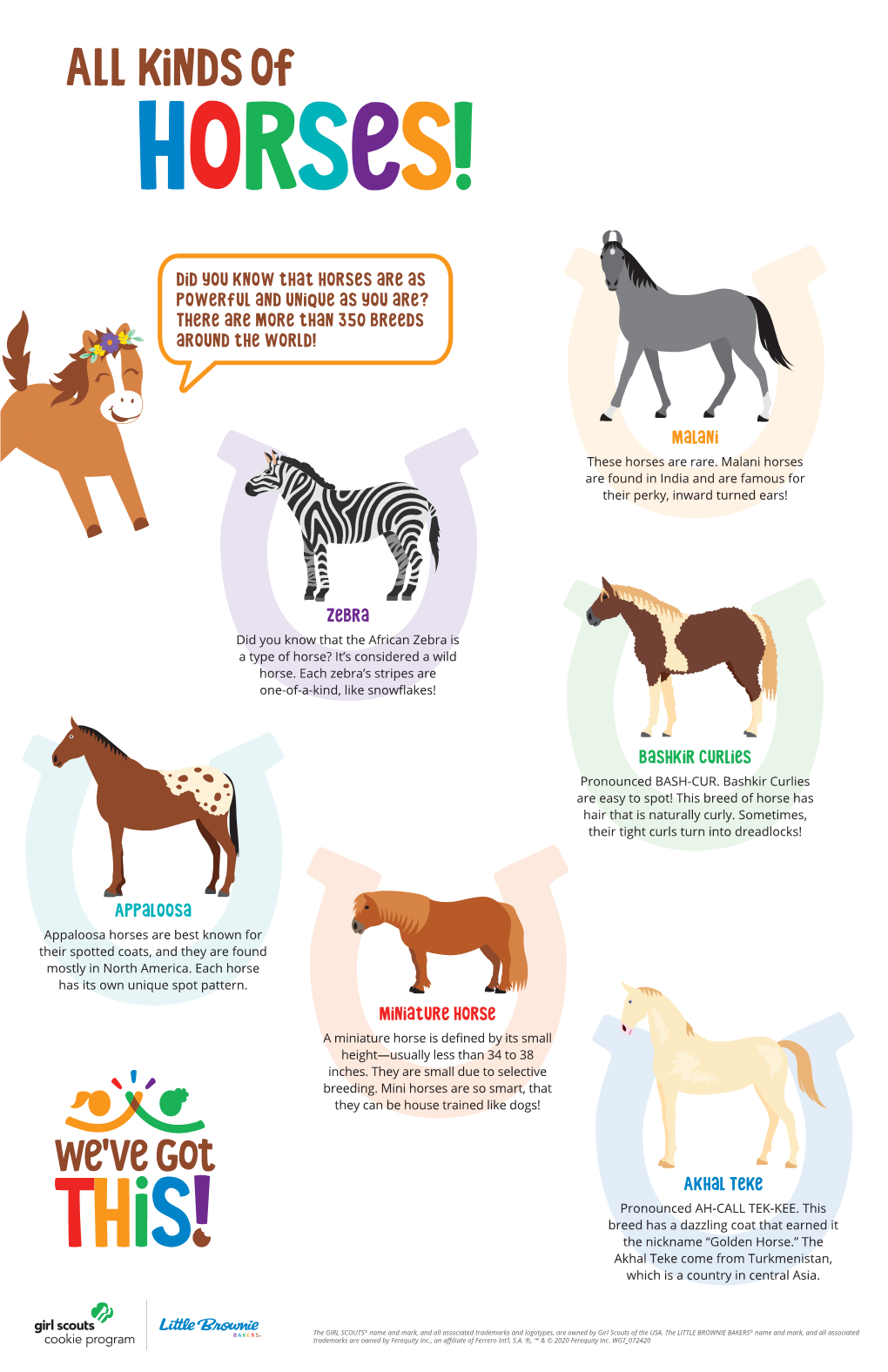 Fun Facts Horse Breeds