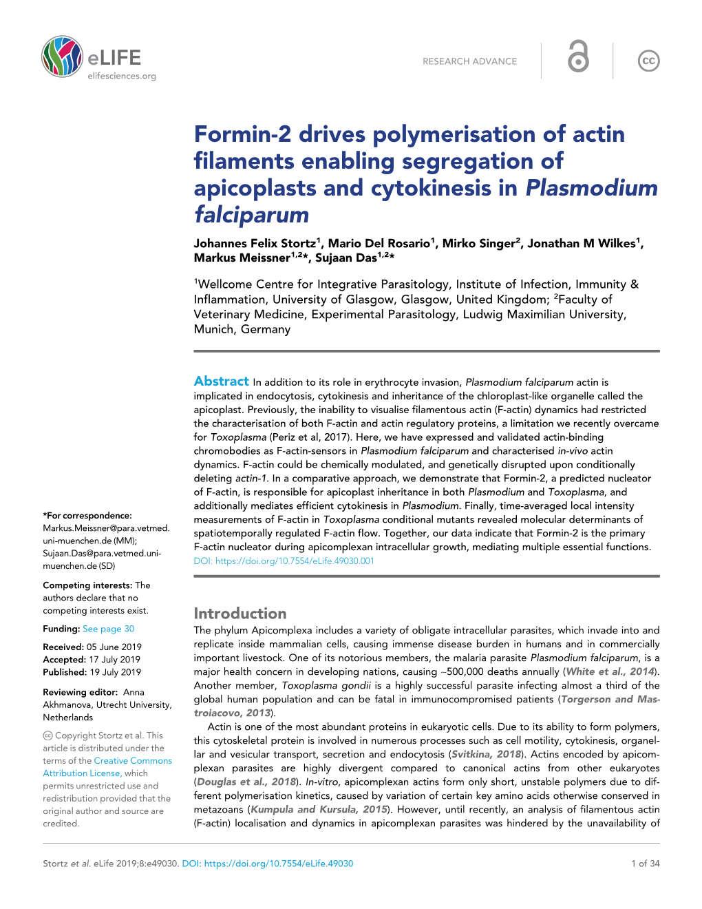 Formin-2 Drives Polymerisation of Actin Filaments Enabling