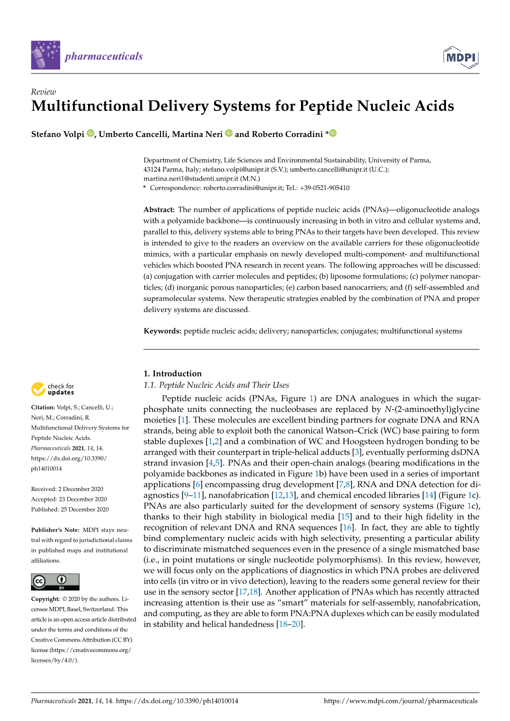 Multifunctional Delivery Systems for Peptide Nucleic Acids