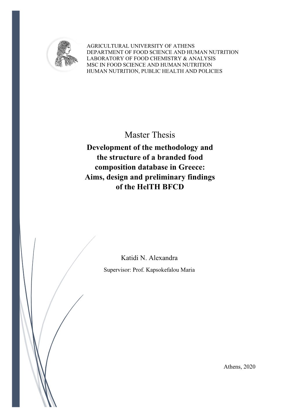 Master Thesis