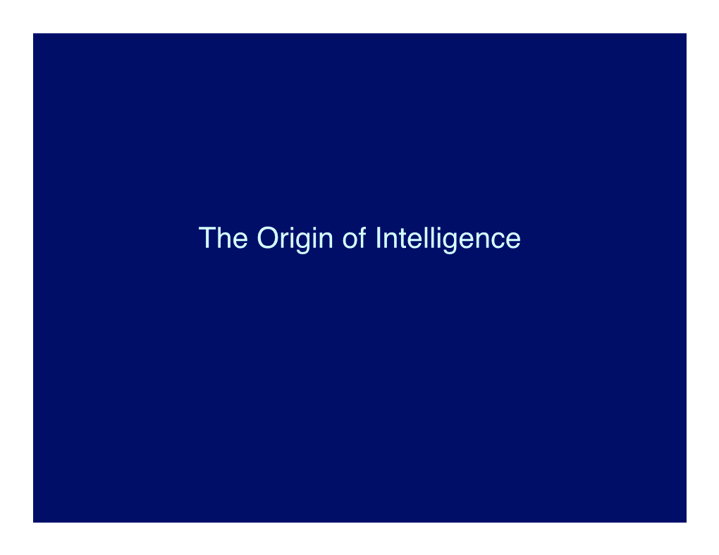 Color Vision More Complicated Information Processing, Tool Use Becomes Possible Origin of Anthropoids