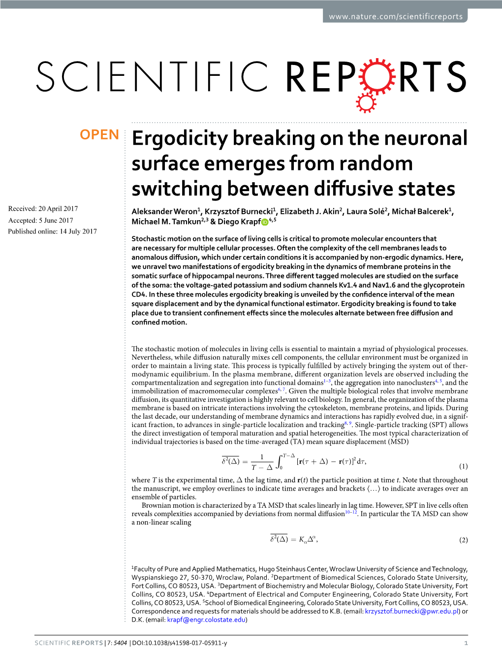 Ergodicity Breaking on the Neuronal Surface Emerges from Random