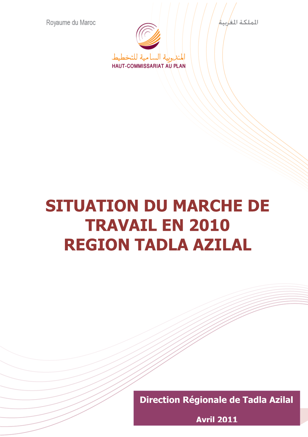 Situation Du Marche De Travail En 2010 Region Tadla Azilal