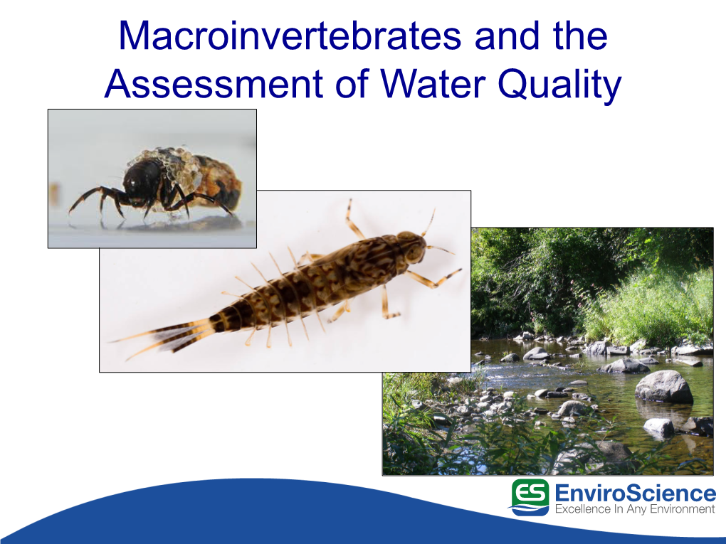 Macroinvertebrates and the Assessment of Water Quality Enviroscience, Inc