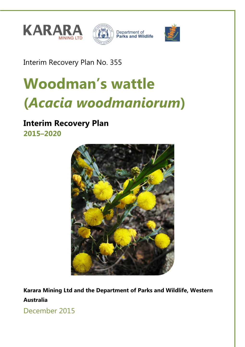 Acacia Woodmaniorum)