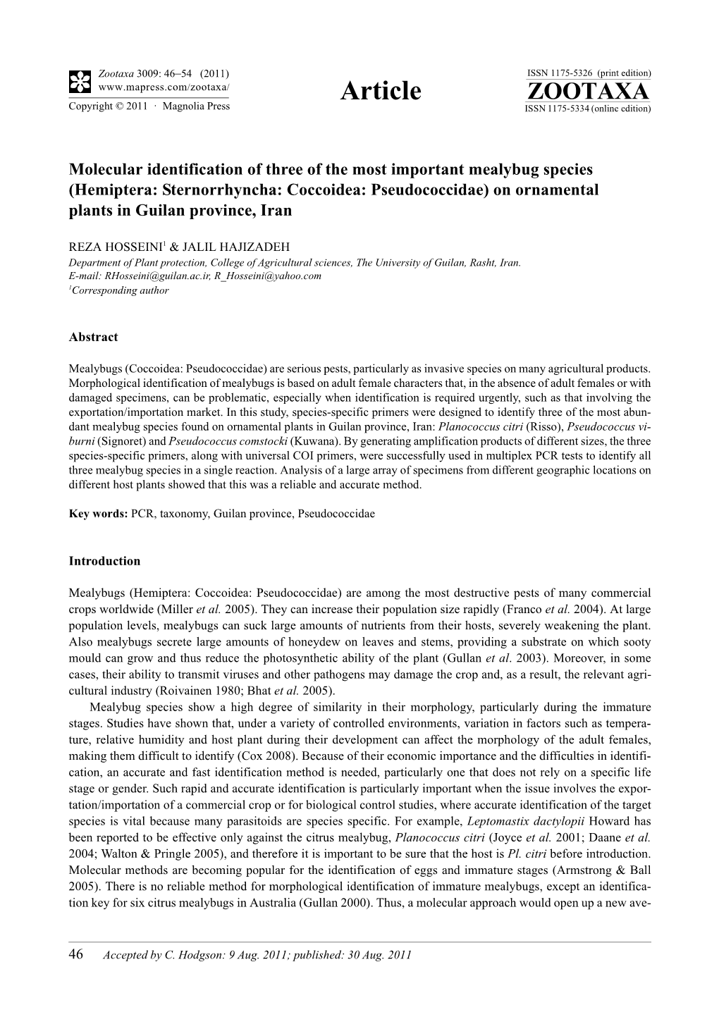 Molecular Identification of Three of the Most Important Mealybug Species