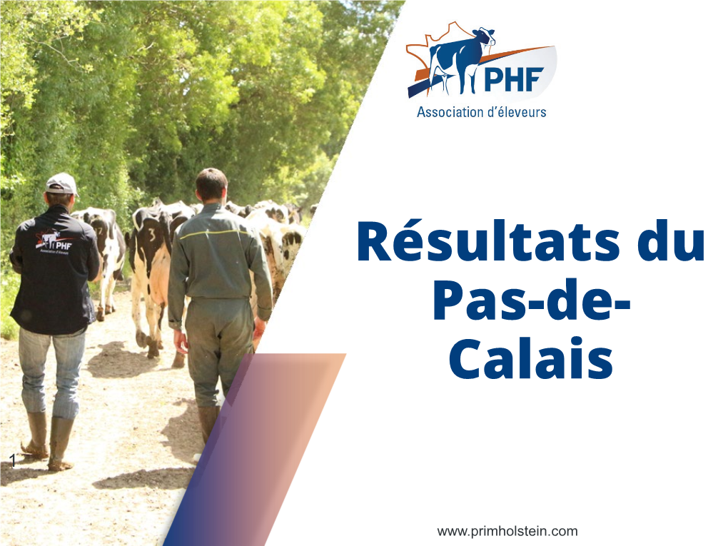 Palmarès Des Meilleurs Élevages En NG (Résultats PHF - Bilan Génétique 2020 Du Pas-De-Calais) ≥20 Vl Par Troupeau Dont Au Moins 50% Indexées