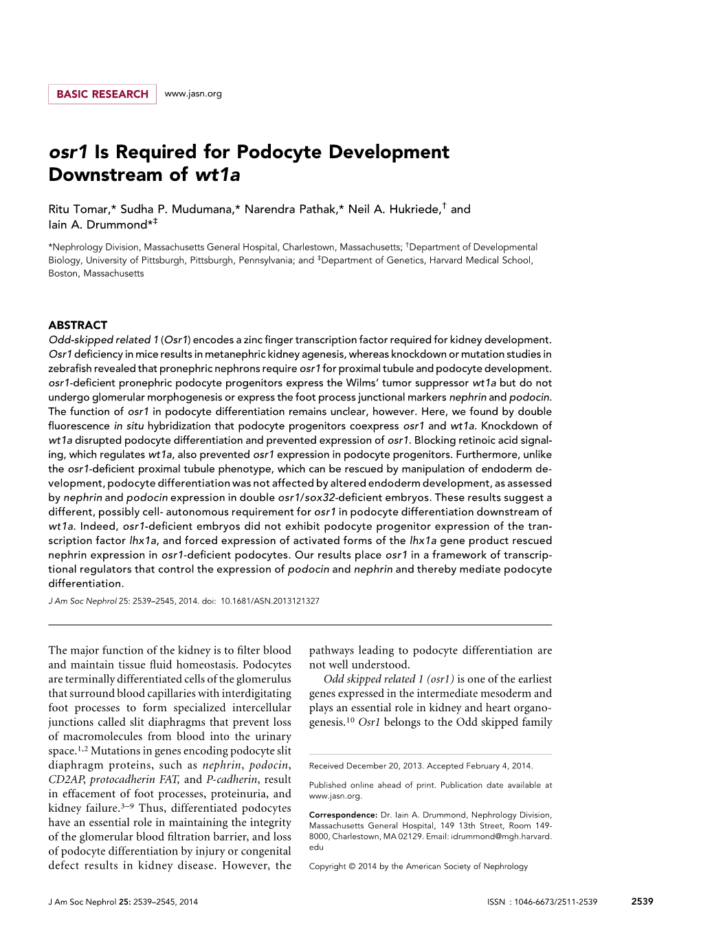 Osr1 Is Required for Podocyte Development Downstream of Wt1a