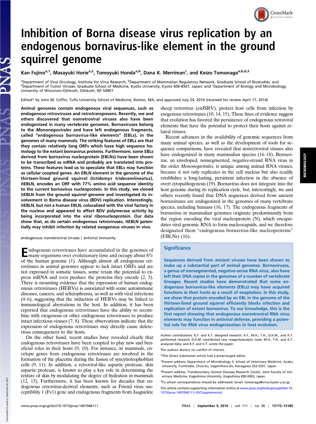 Inhibition of Borna Disease Virus Replication by an Endogenous Bornavirus-Like Element in the Ground Squirrel Genome