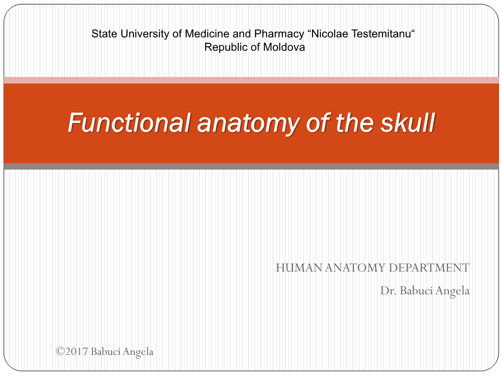 Functional Anatomy of Skull