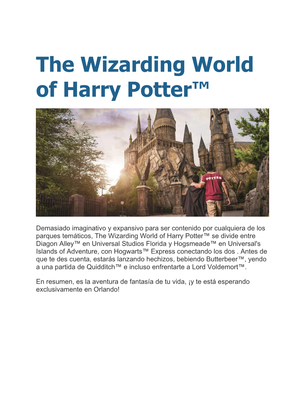 The Wizarding World of Harry Potter™