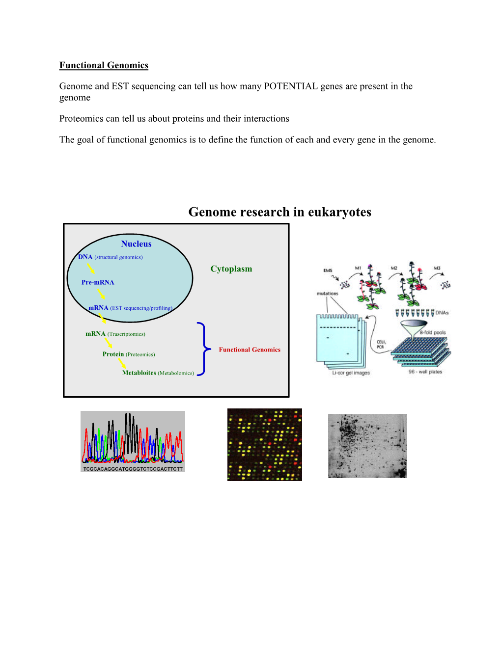 Functional Genomics Part I