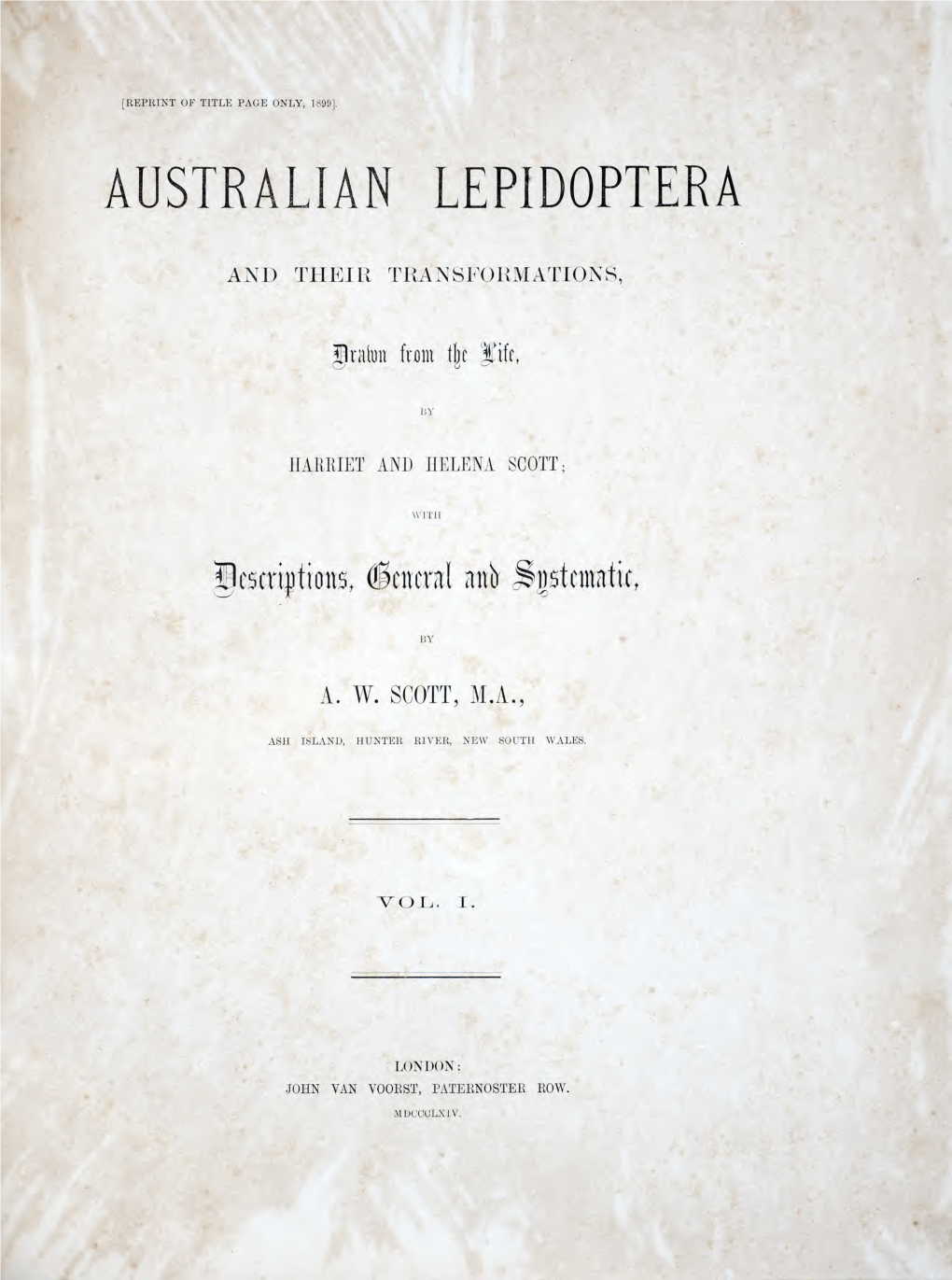 Australian Lepidoptera and Their Transformations, Drawn from the Life