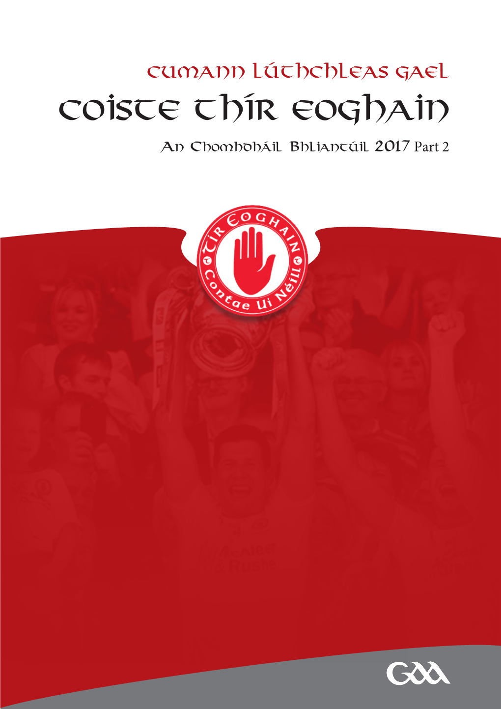 Coiste Thír Eoghain