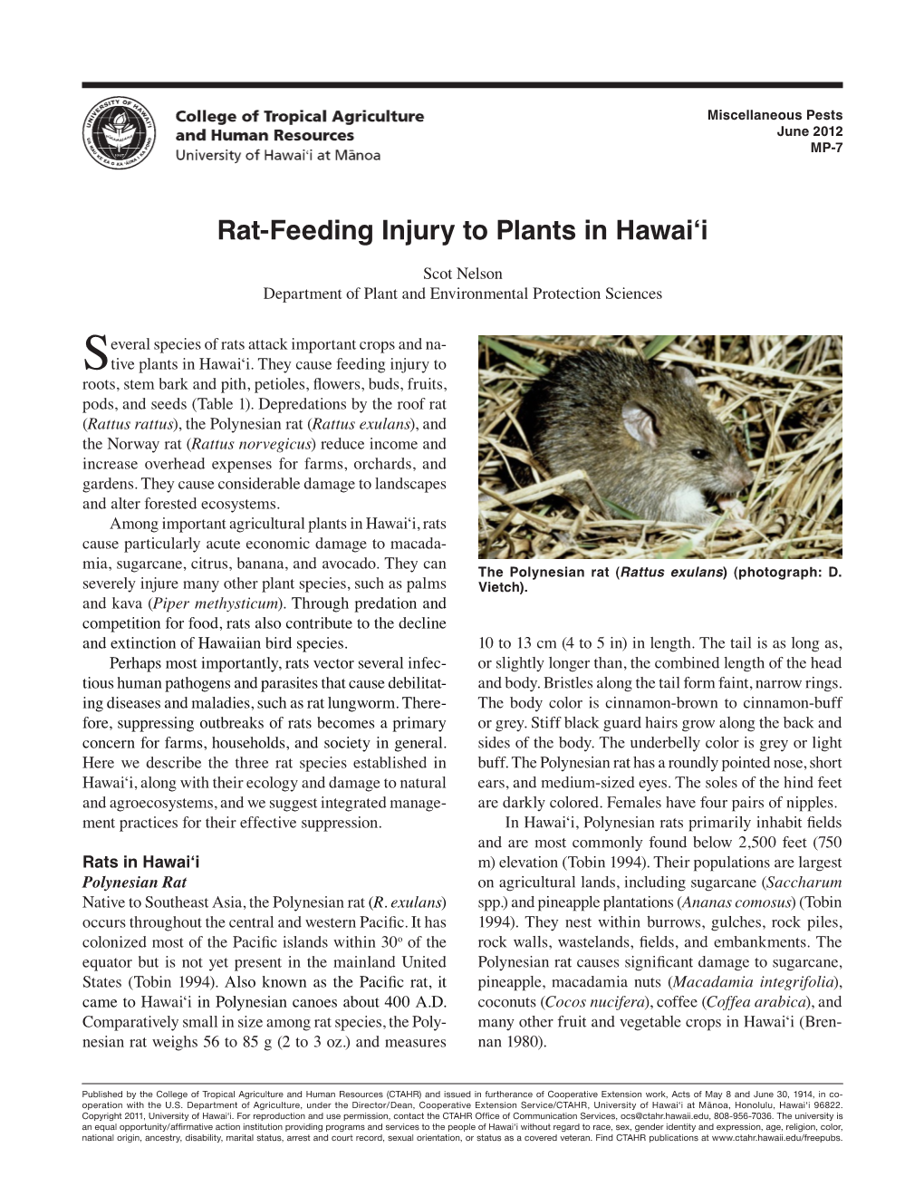 Rat-Feeding Injury to Plants in Hawai'i