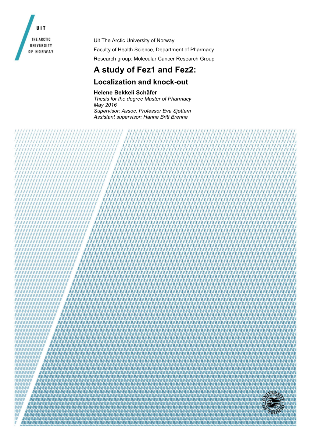 A Study of Fez1 and Fez2: Localization and Knock-Out Helene Bekkeli Schäfer Thesis for the Degree Master of Pharmacy May 2016 Supervisor: Assoc