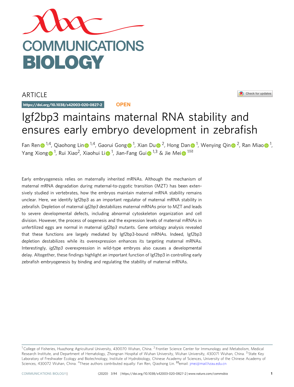 Igf2bp3 Maintains Maternal RNA Stability and Ensures Early Embryo Development in Zebraﬁsh