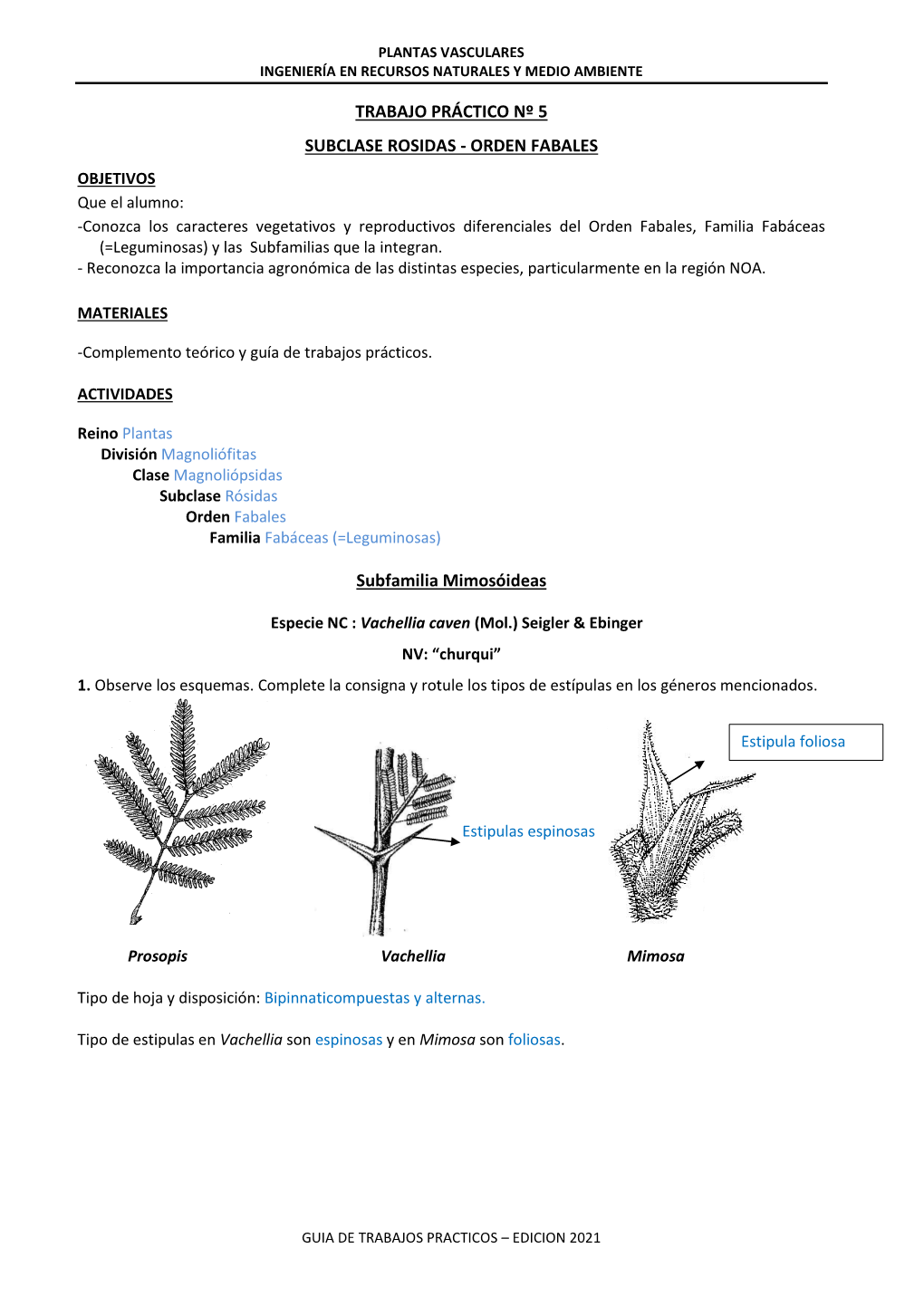 TP 8 Fabales Resuelta.Pdf