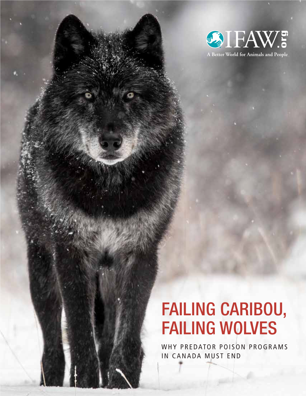 Failing Caribou, Failing Wolves Why Predator Poison Programs in Canada Must End