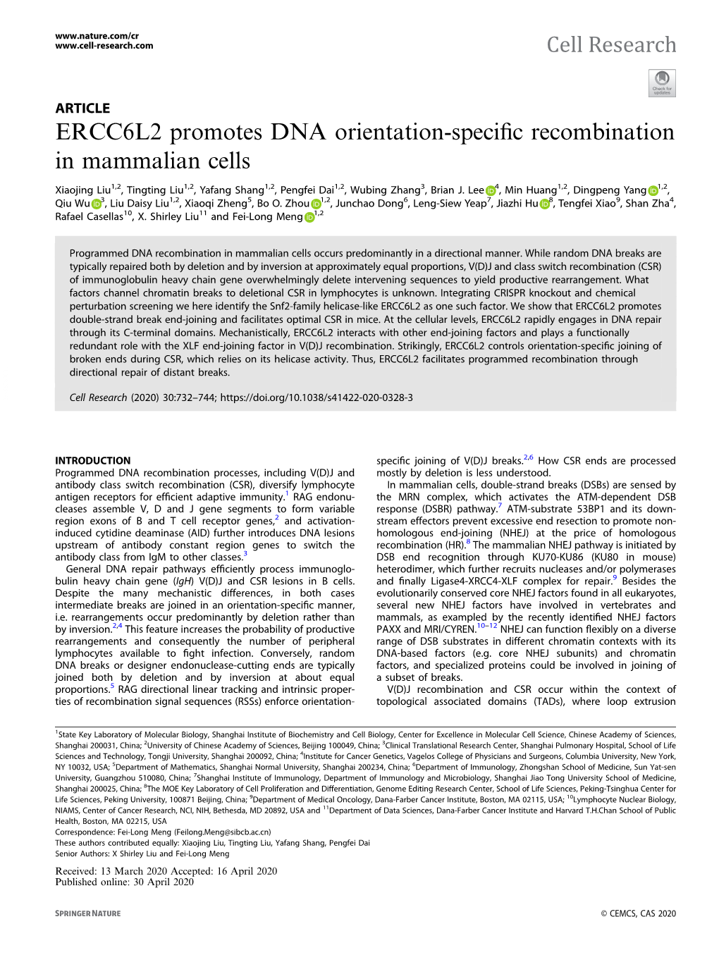 ERCC6L2 Promotes DNA Orientation-Specific