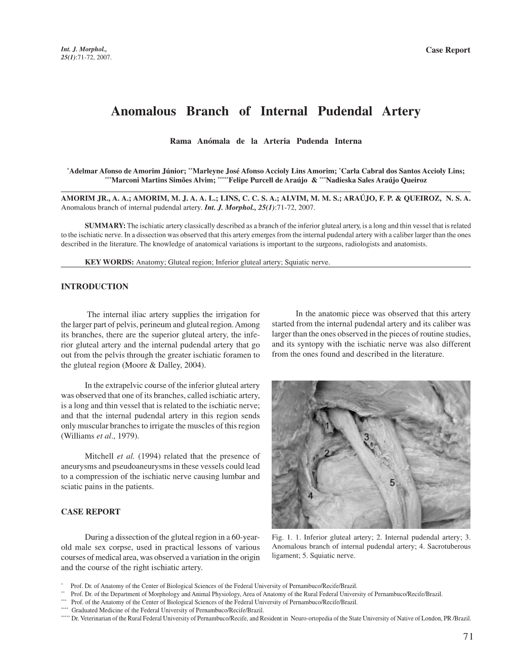 Anomalous Branch of Internal Pudendal Artery