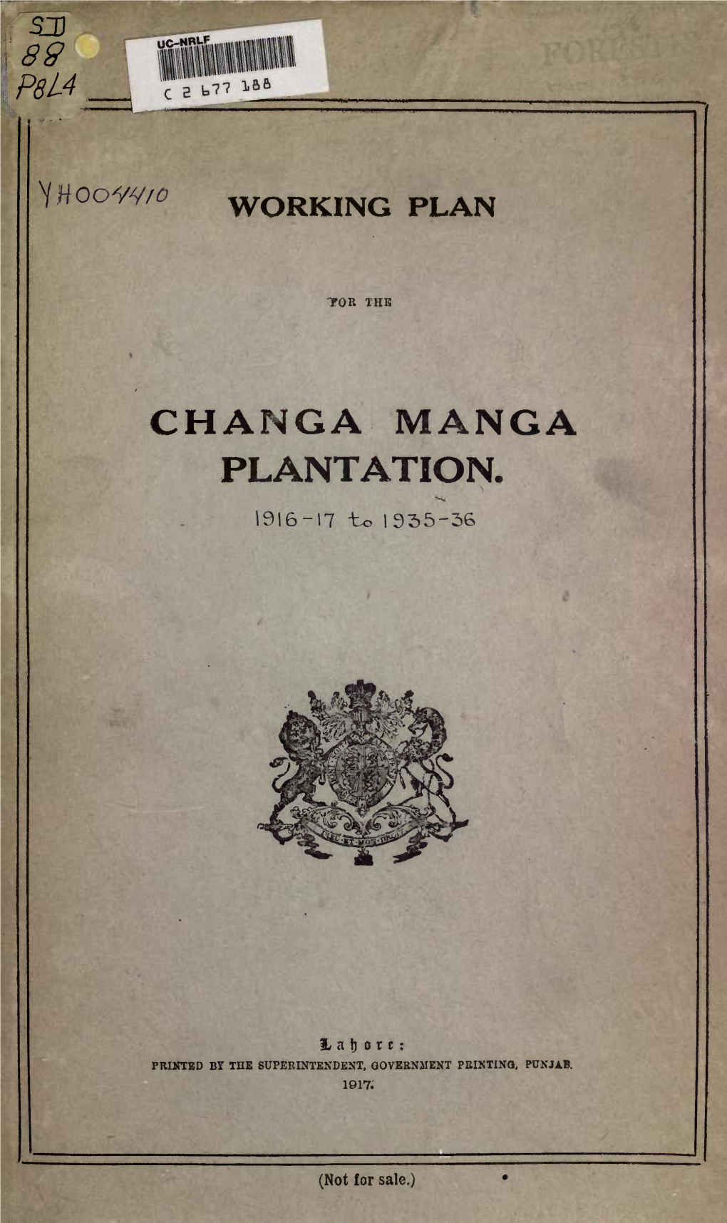 Changa Manga Plantation