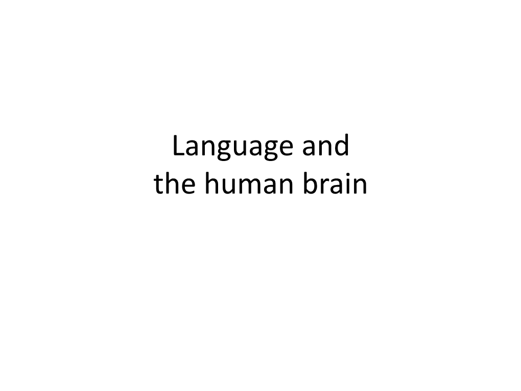 Language and the Human Brain Brain and Language