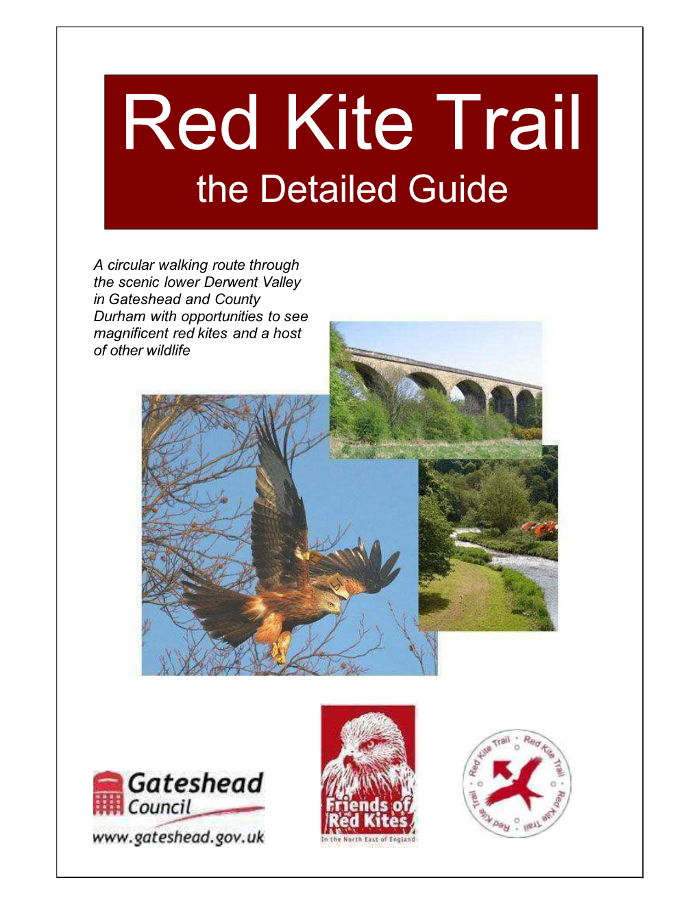 Red Kite Trail the Detailed Guide