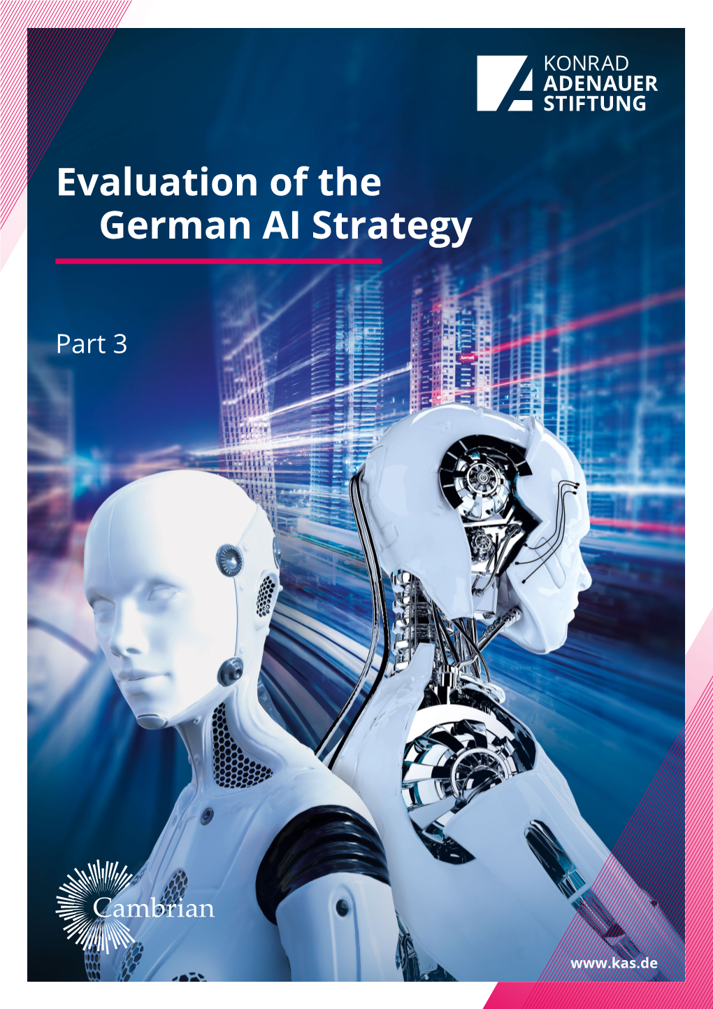 Evaluation of the German AI Strategy