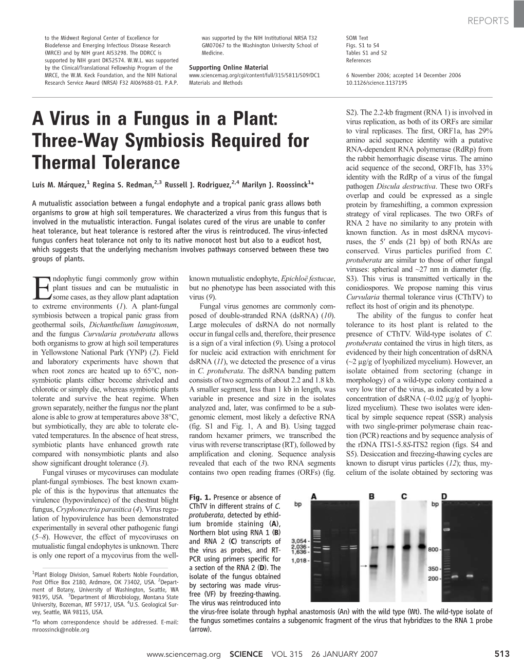 A Virus in a Fungus in a Plant: Three-Way Symbiosis Required For