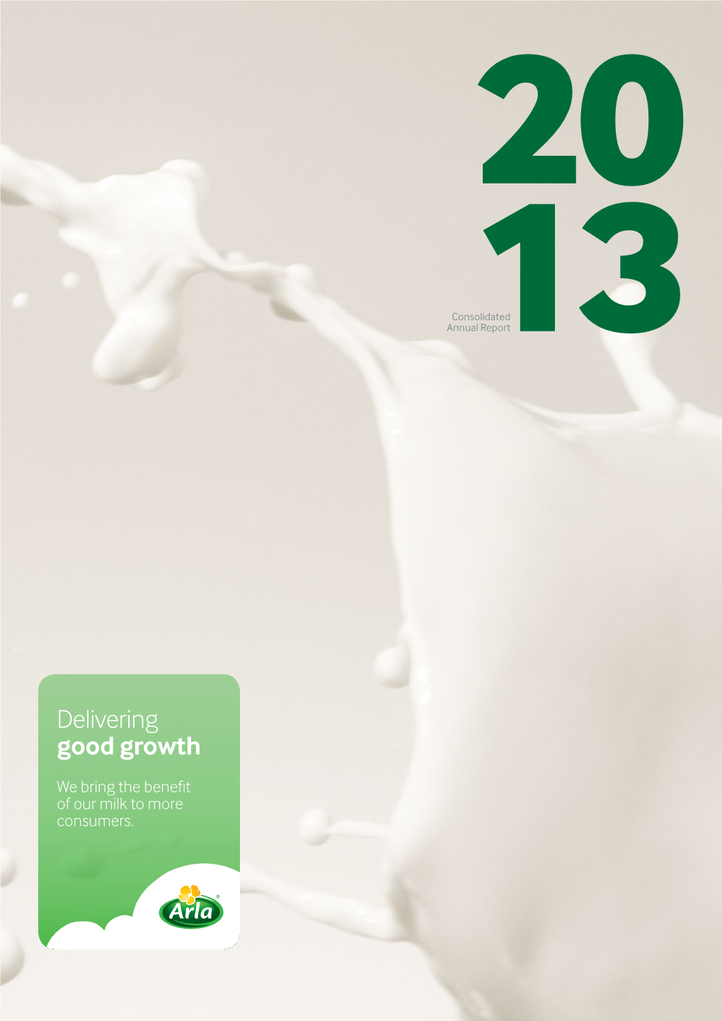 Annual Report 2013