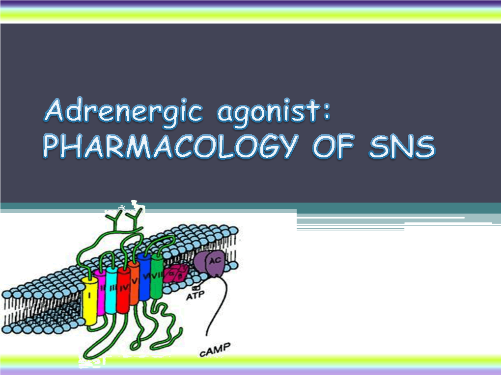 4-Adrenergic Agonists.Pdf