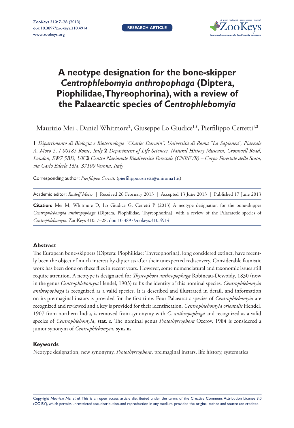 Diptera, Piophilidae, Thyreophorina), with a Review of the Palaearctic Species of Centrophlebomyia