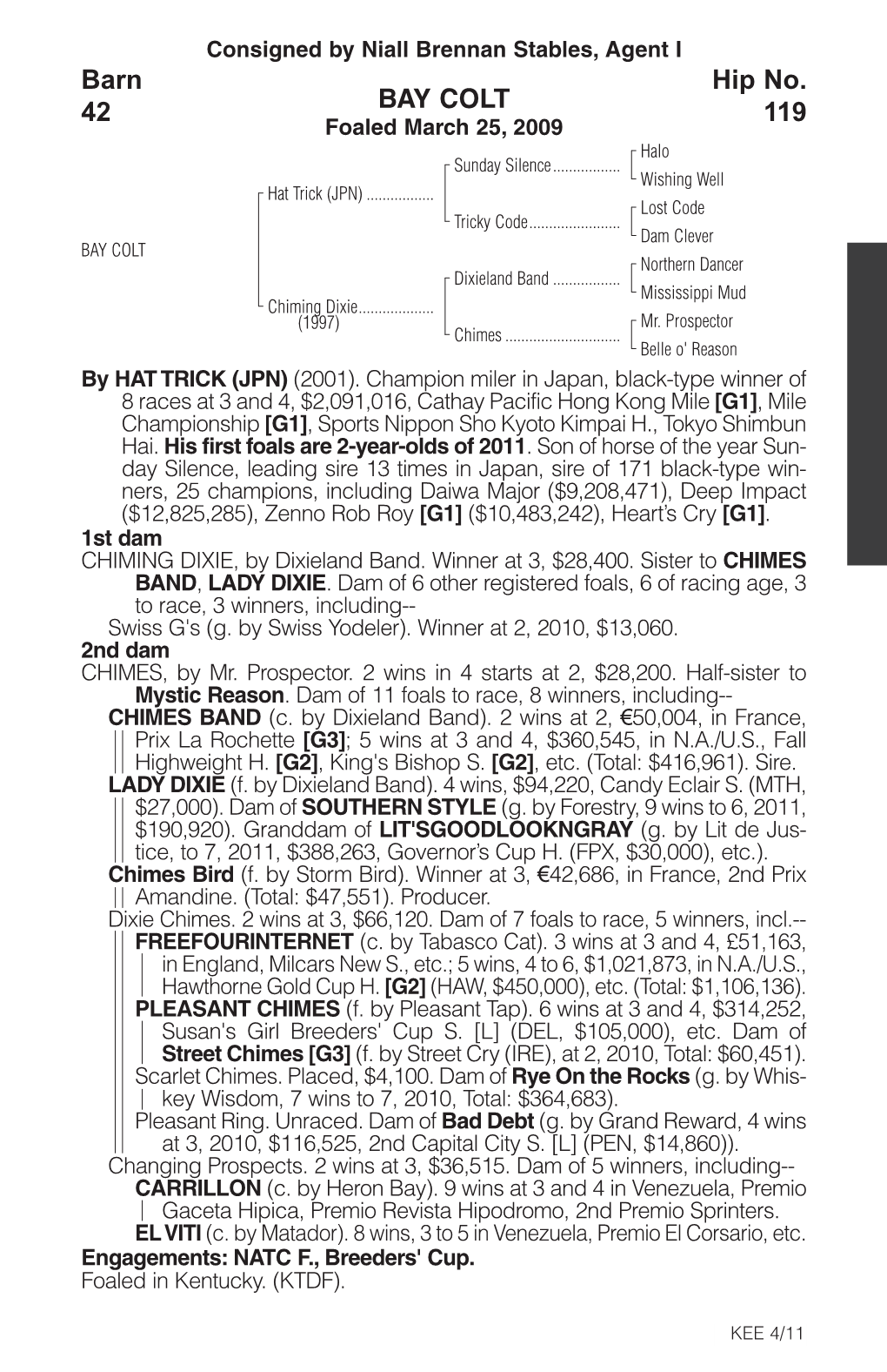 BAY COLT Barn 42 Hip No