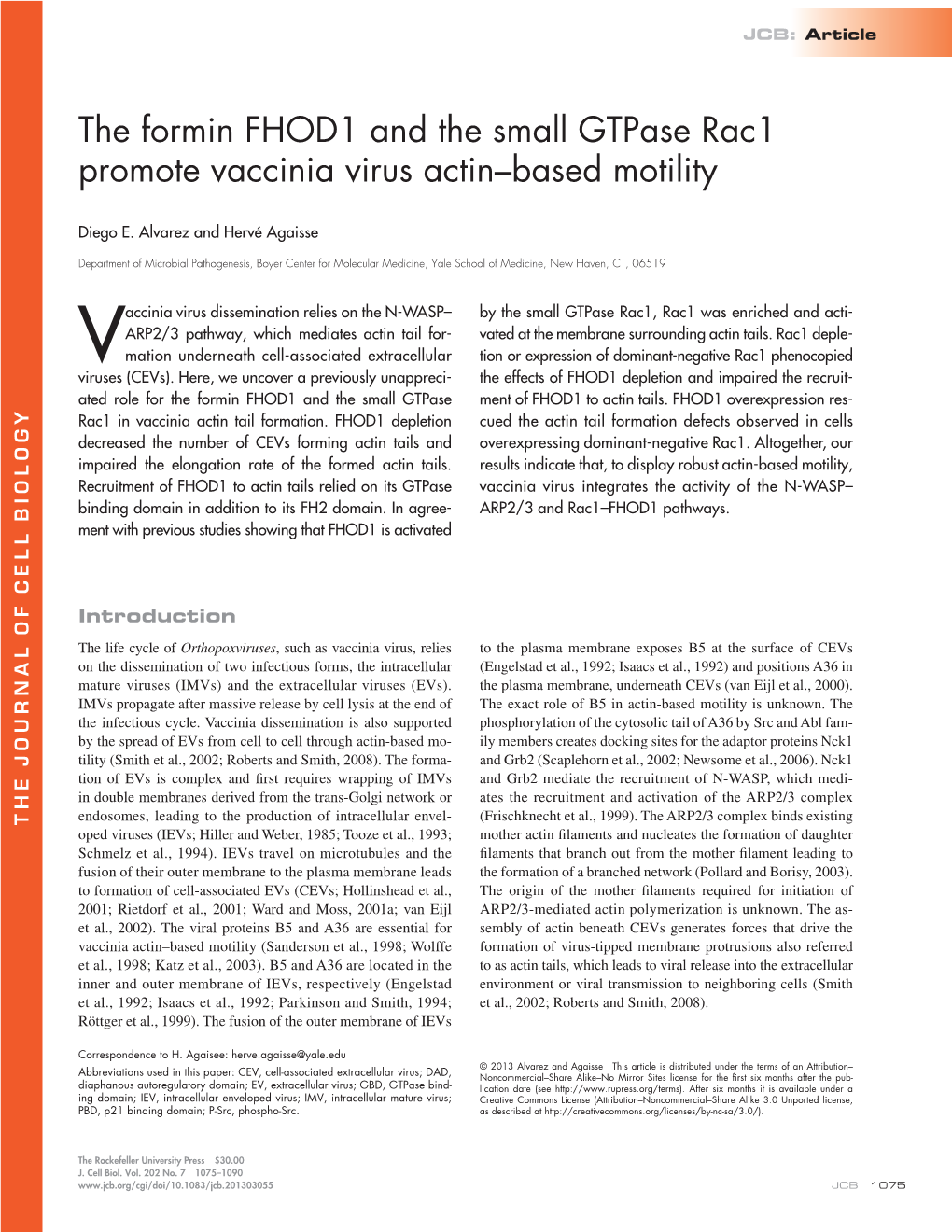 The Formin FHOD1 and the Small Gtpase Rac1 Promote Vaccinia Virus Actin–Based Motility