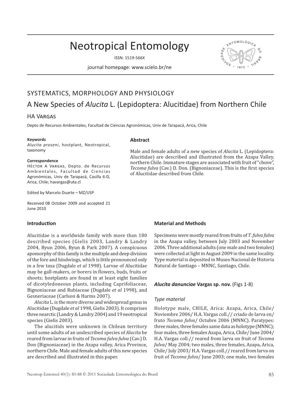 A New Species of Alucita L.(Lepidoptera: Alucitidae) From