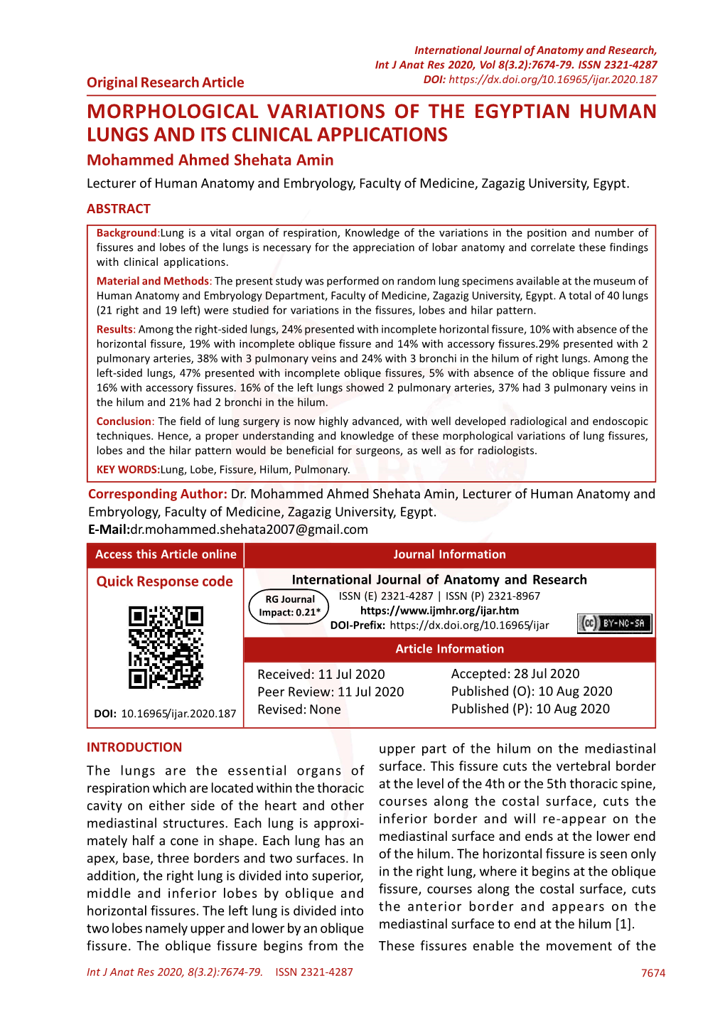 Morphological Variations of the Egyptian Human Lungs and Its