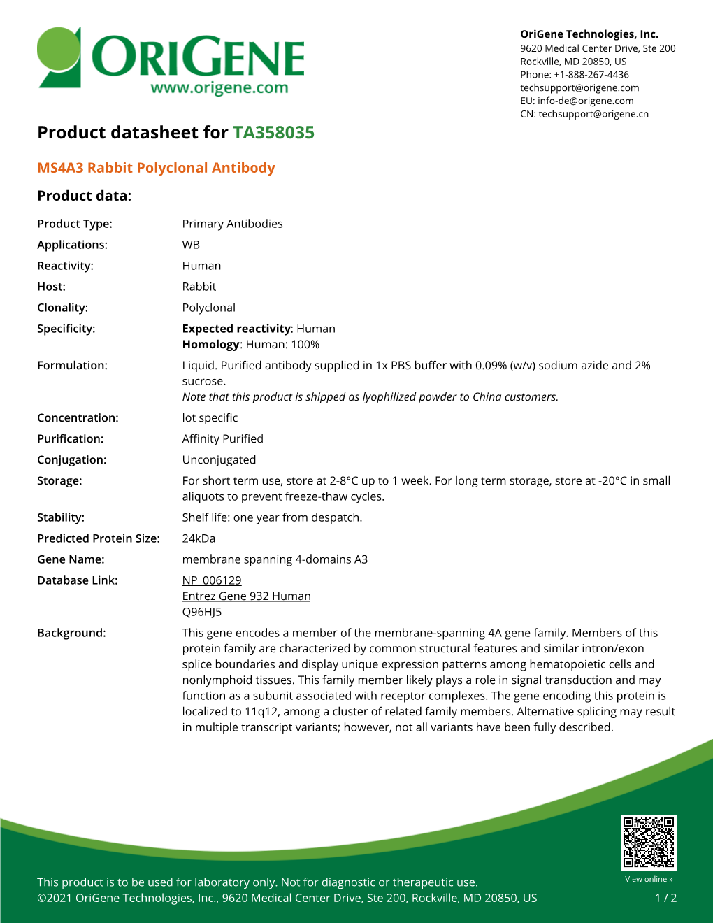 MS4A3 Rabbit Polyclonal Antibody – TA358035 | Origene