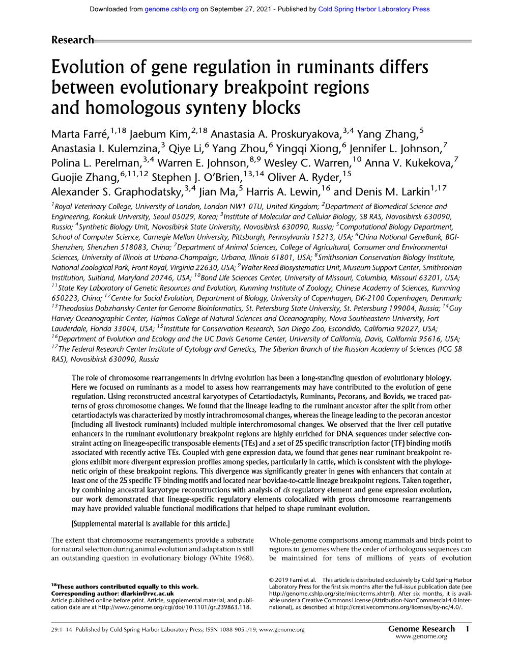 Evolution of Gene Regulation in Ruminants Differs Between Evolutionary Breakpoint Regions and Homologous Synteny Blocks