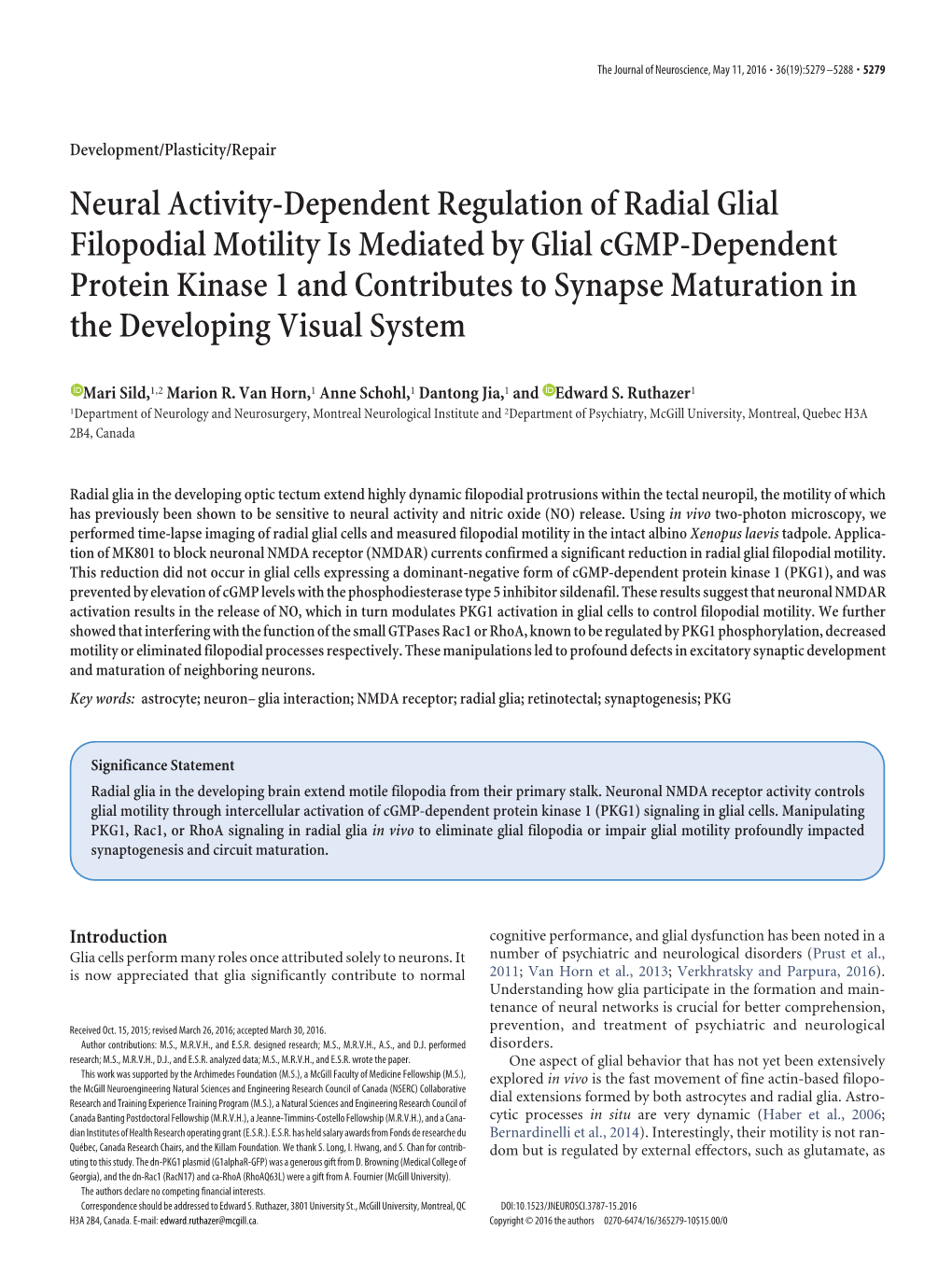 Neural Activity-Dependent Regulation of Radial Glial Filopodial Motility Is