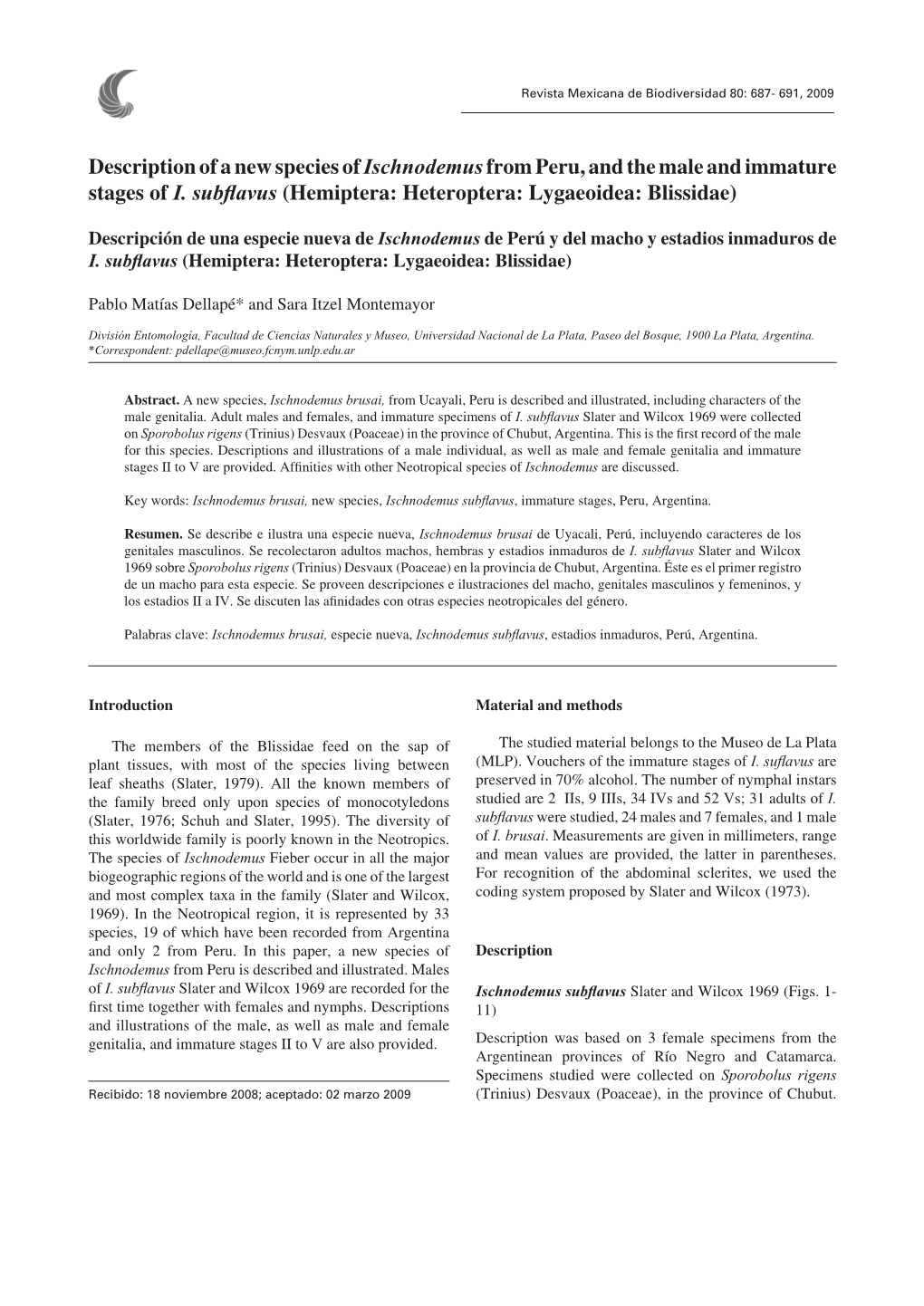 Description of a New Species of Ischnodemusfrom Peru, and the Male and Immature Stages of I. Subflavus (Hemiptera: Heteroptera