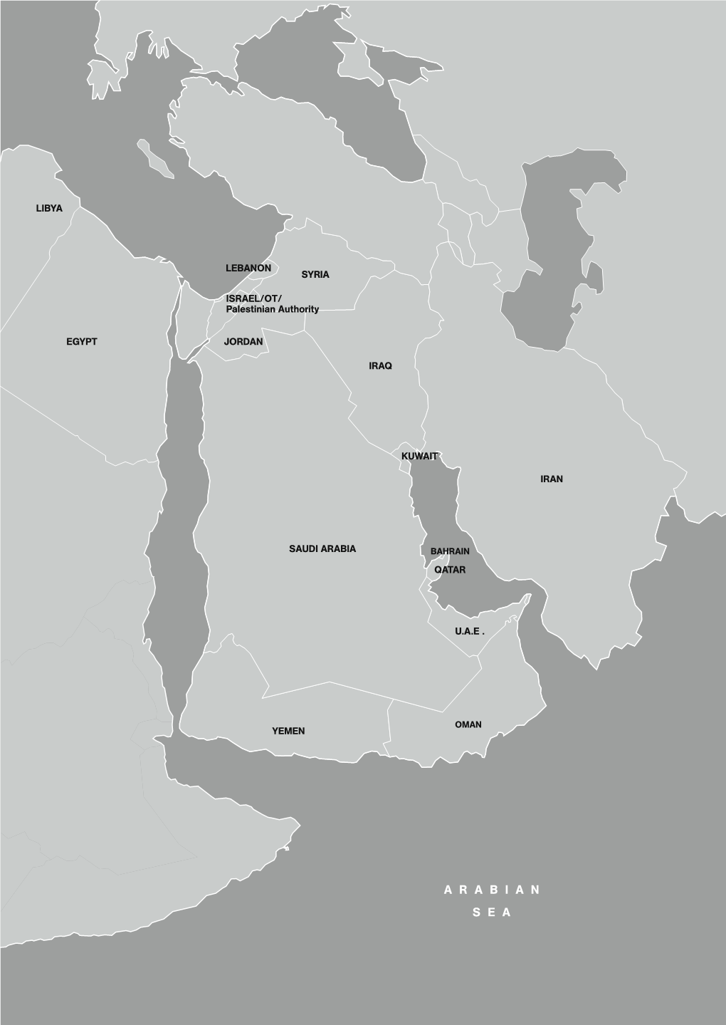 Middle East and North Africa Said Shehata N 2012, the Middle East and North Africa Be Characterized by Deep Divisions